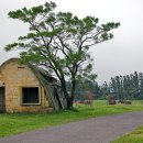 리얼 생 버라이어티한 제주도 여행기 이미지