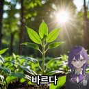 타다 남은 재 : 숨쉬는행복 김선희 오늘의 시 이미지