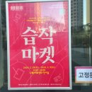 기획전시 <습작마켓> | 광진구 전시 나루아트센터 습작마켓 방문후기