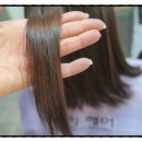 하단동1245 이미지