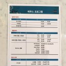 레푸스 이미지
