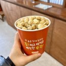 콩뿌각 이미지