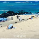 이상원 - 해운대구 | 이상원