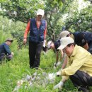 신흥3농장 이미지