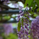 개림초등학교 이미지