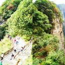 [일원1] 박사님이 알려주는 해외여행 꿀팁 (6주: 2/27~4/2) | [해외여행] 꼭 한번 가보고 싶은 산수 절경 장가계 ! 2탄