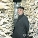 조군농장 이미지