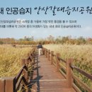 화랑유원지_경기도미술관주변 이미지