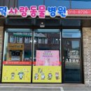 길종합동물병원 이미지