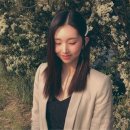 케이시에이전시