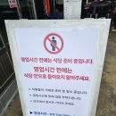 울산회식당 | 맛집] 내 인생 역대급 고추장물회! 오징어물회에 얼음+고추 팍팍 '울산회식당' 내돈내산 단골 솔직후기