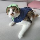 대감집막내딸