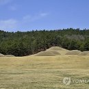 하나정보시스템 이미지