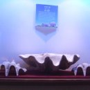 화진포해양박물관 이미지