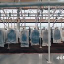 세탁특공대 이미지