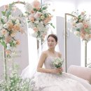 청아플라워즈 - 서초구 강남대로 27 | 청아플라워즈
