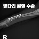 디에스 동물메디컬 이미지