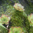 석부농장 이미지