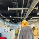 채원수산