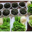 감물농장 이미지