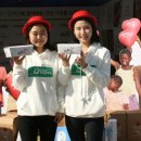 치르치르 이미지