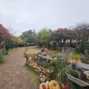 49상사 | 화성 더포레 — 태풍상사 촬영지 카페에서 즐긴 디저트와 여유로운 시간