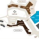 소노캄 델피노 A . B 이미지