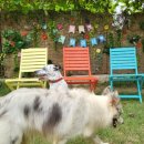 멍스 컨테이너 이미지