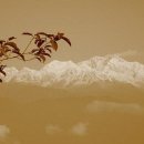 칸첸중가 이미지