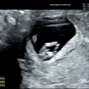 (주)꼬까신 이미지