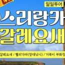 주식회사 문화와여행