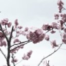 성수한의원 이미지