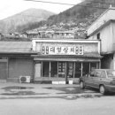 대영포목