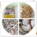 봉례농장 이미지