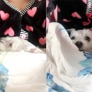 하이트광장 이미지