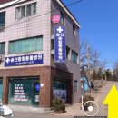 송산종합동물병원 네이버블로그