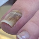 대덕대로-18 이미지