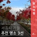 도담동_싱싱장터앞BRT | 🍁세종시 도심 주변 가까이에 가보기 좋은_접근성 좋은 가을 추천 명소 3선🍁