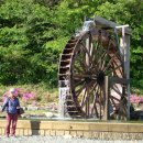 죽림정사~동화호 이미지