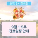 분당8+1한의원 이미지