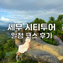시티택시 | 세부 시티투어 예약 여행 일정 택시 패키지 후기