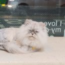 다루동물병원 이미지