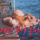 어부의식탁 이미지