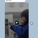 리나바이올린 이미지