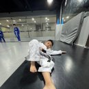 Y체대입시태권도 | 이경근 유도관 용인점 솔직후기, 유도 체대입시생 최다 보유하는 이유 있음