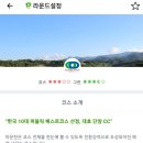단양스크린골프존 | 깔언니취미생활 _ 스크린골프 너~어 너무 재밌자나!!!! (대호 단양 편)