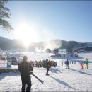 웰리힐리파크 이미지