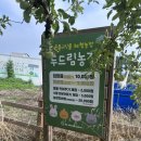 청하농장 | 포항 아이랑 가볼만한 곳, 두드림 농장 동물 먹이주기 체험