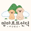 멍마르뜨언덕애견펜션