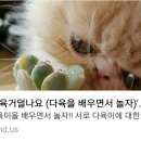 기천유통